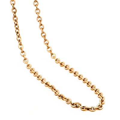 Ion Plated Gold Stainless Steel Chain 55cm