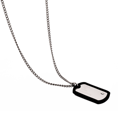 Stainless Steel & Rubber Dog Tag & Chain