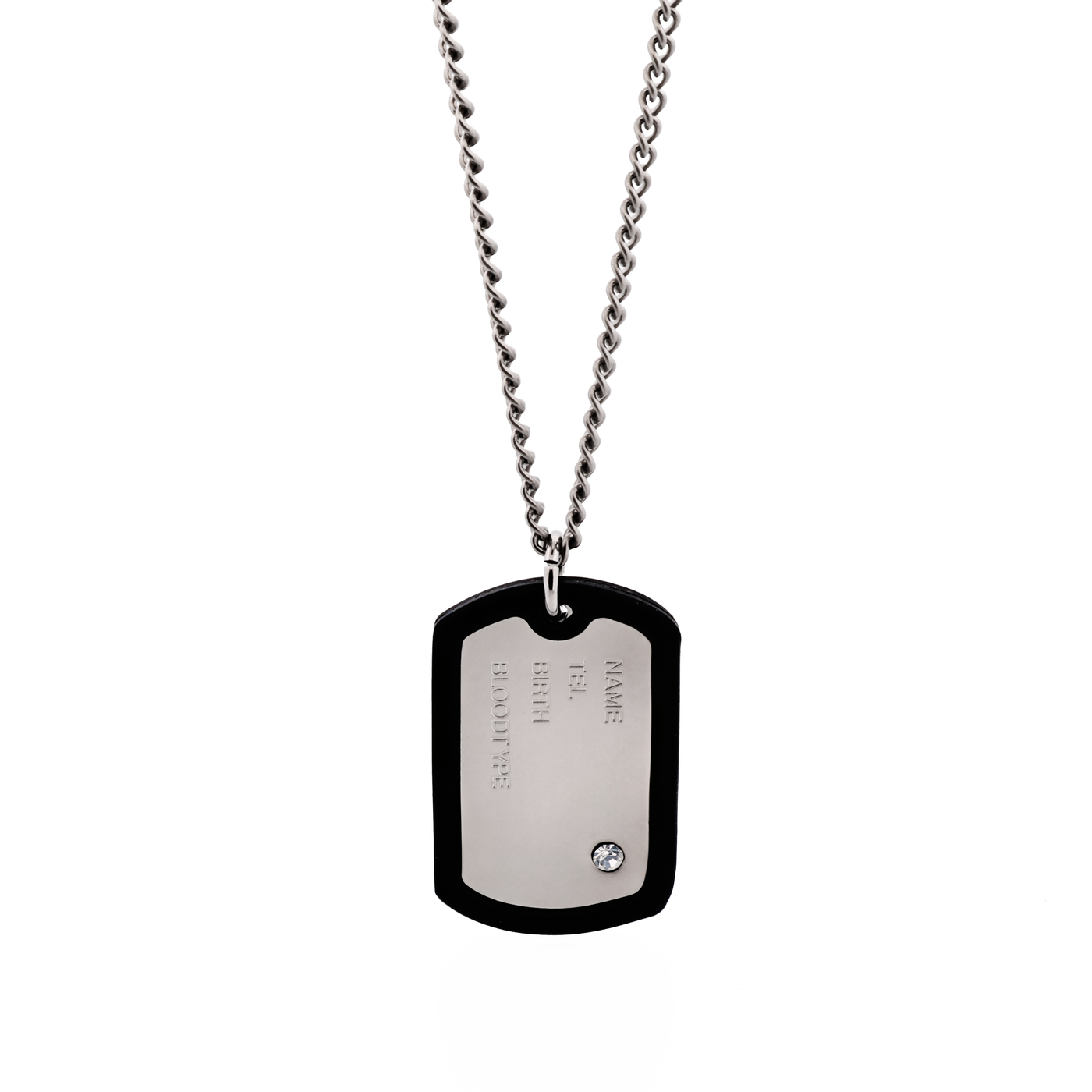 Stainless Steel & Rubber Dog Tag & Chain