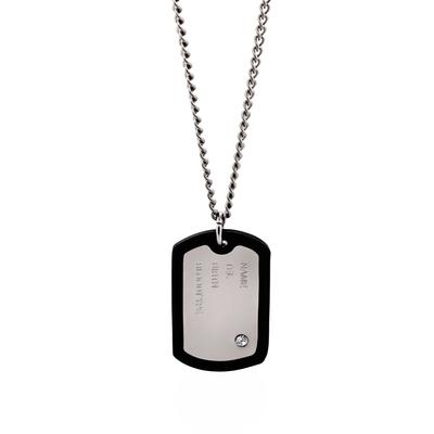 Stainless Steel & Rubber Dog Tag & Chain