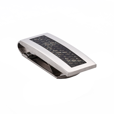 Stainless Steel & Snake Skin Print Money Clip