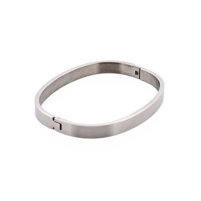 Savage Stainless Steel Bangle