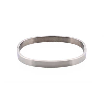 Savage Stainless Steel Bangle