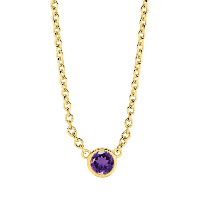 Alexander Jewellers 9ct Amethyst Pendant 